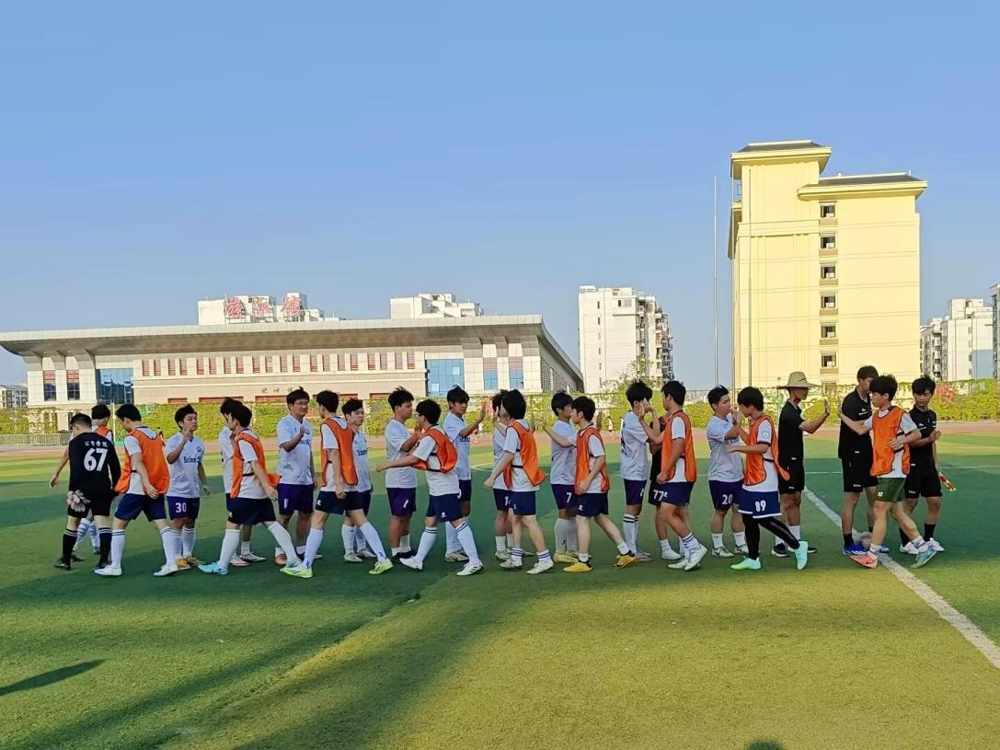 图片6