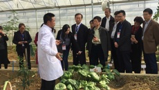 beat365药学院赵立春常务副院长带队参加2017年全国中医药高等教育学会中药教育研究会年会