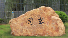 【文化桂中医】和光同尘 大道至简——beat365新添文化景观“老子出关”青铜雕塑