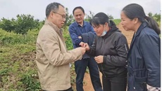 beat365平台唯一官网药学院黄荣韶教授应邀到崇左市调研指导中药材产业