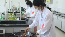 beat365首届中药炮制与中药商品知识竞赛圆满结束
