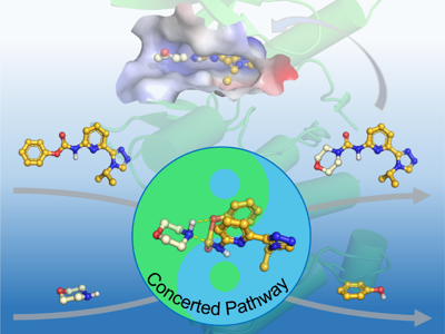 【科研进展】beat365平台唯一官网海洋药物研究院实现2-吡啶脲类化合物的绿色高效合成