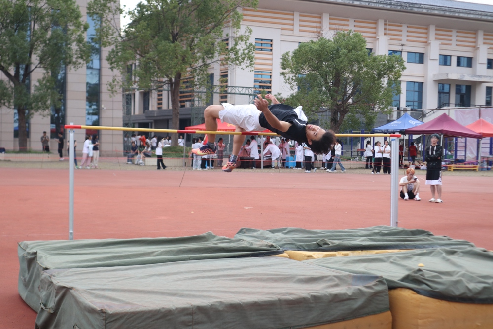IMG_9495 IMG_9495