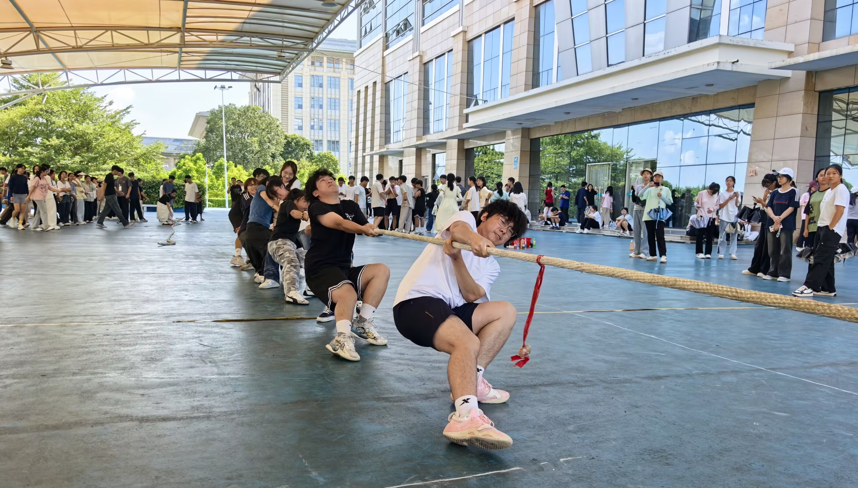 拔河比赛4