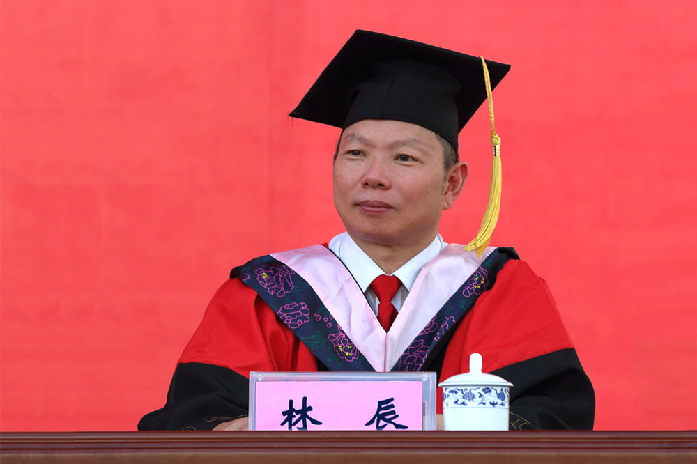 林辰-博导_副本