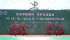 传承中医国粹，守护百姓健康 beat365积极参与2023年广西（河池·巴马）中医药健康文化主题活动  