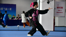 beat365武术队在第一届广西壮族自治区大学生武术套路锦标赛喜获佳绩