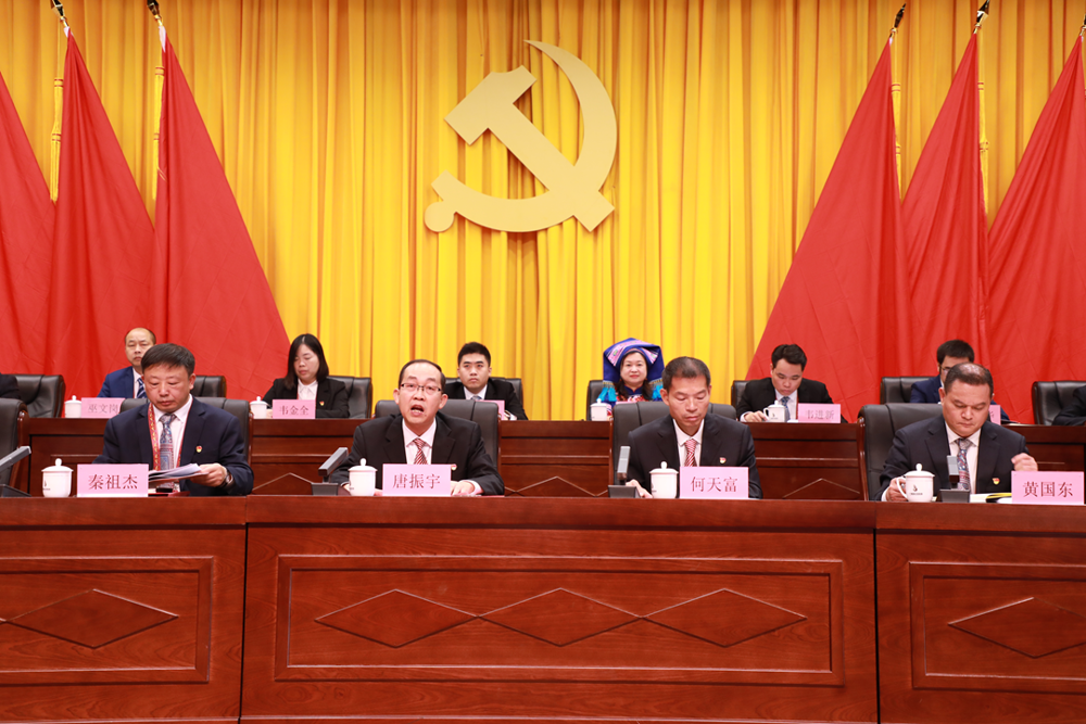 3.唐振宇讲话