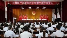 共青团beat365平台唯一官网第三次代表大会顺利召开