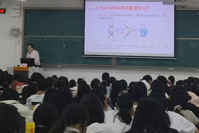 老师讲课严肃认真