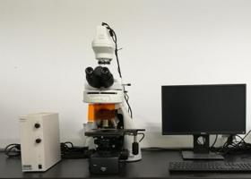 尼康荧光显微镜