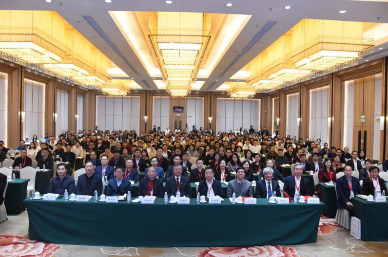 图片17